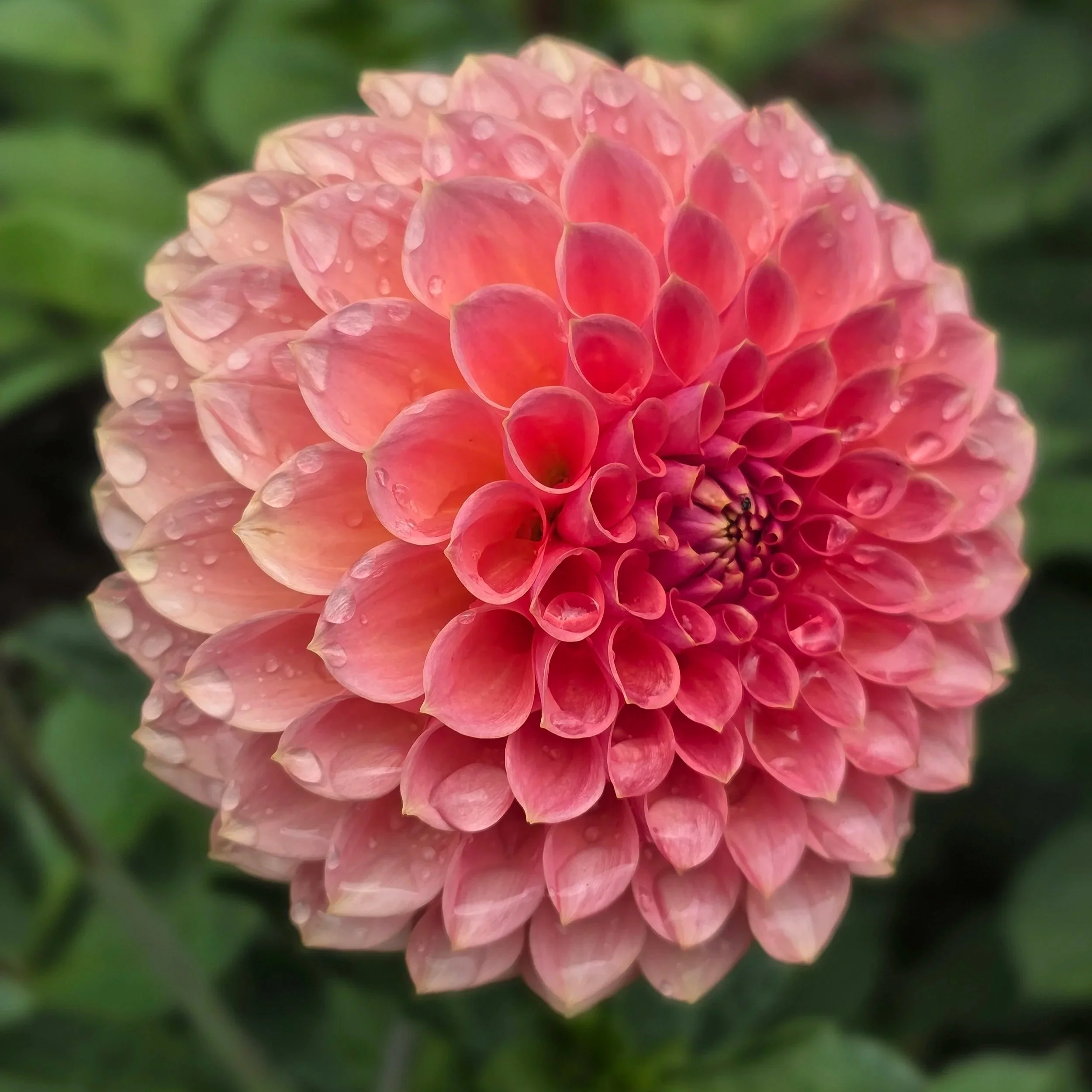 20250806_130440.jpg (Copy)