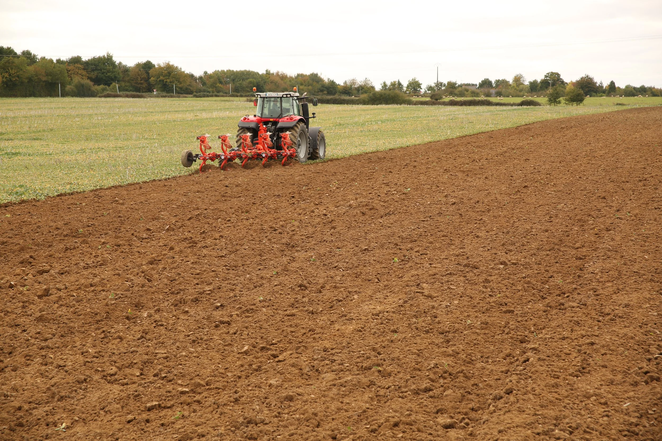 VARI-MASTER L_SMART PLOUGHING_WORK_MASSEY-FERGUSSON.JPG