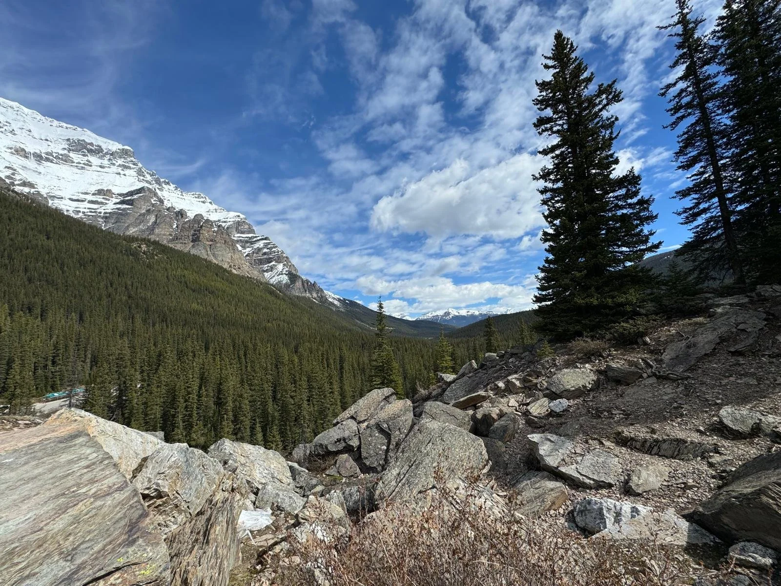 WhatsApp Image 2024-06-08 at 11.27.03 (2).jpeg