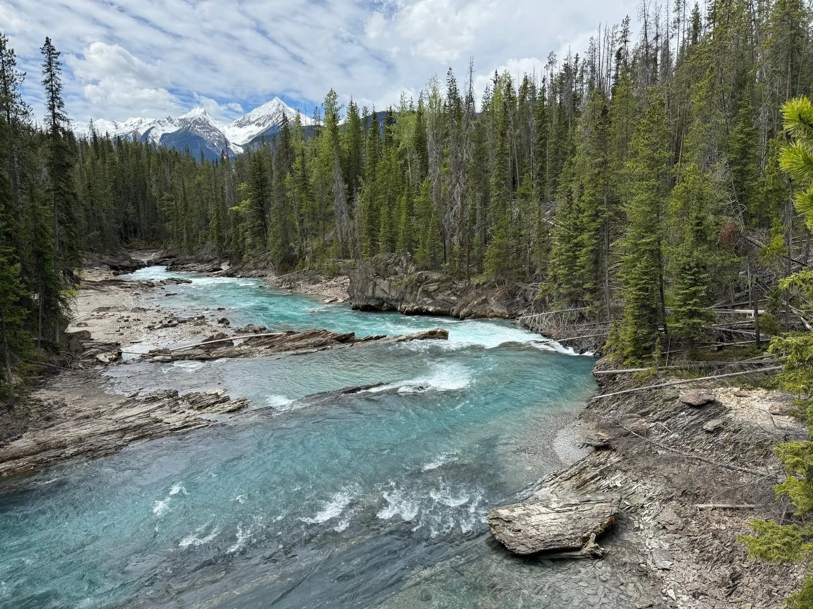 WhatsApp Image 2024-06-08 at 11.29.31 (5).jpeg