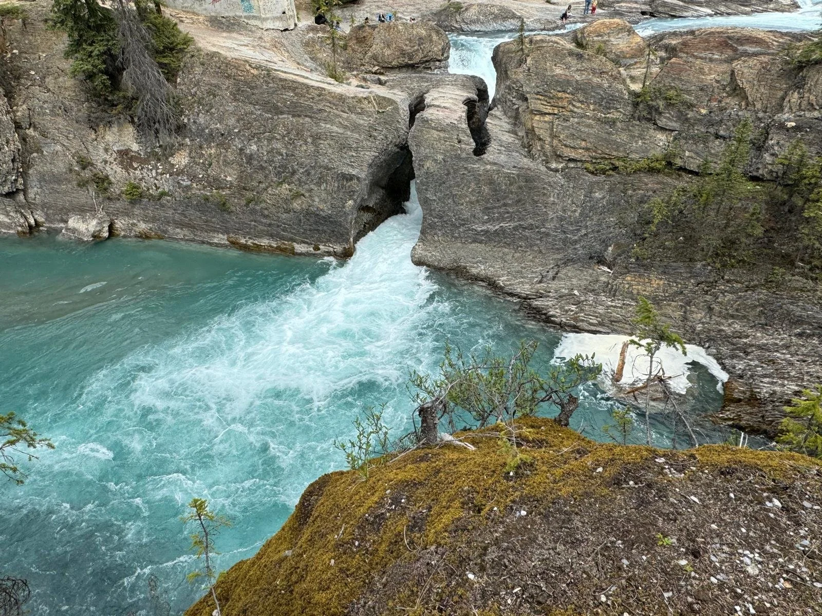 WhatsApp Image 2024-06-08 at 11.29.31 (2).jpeg