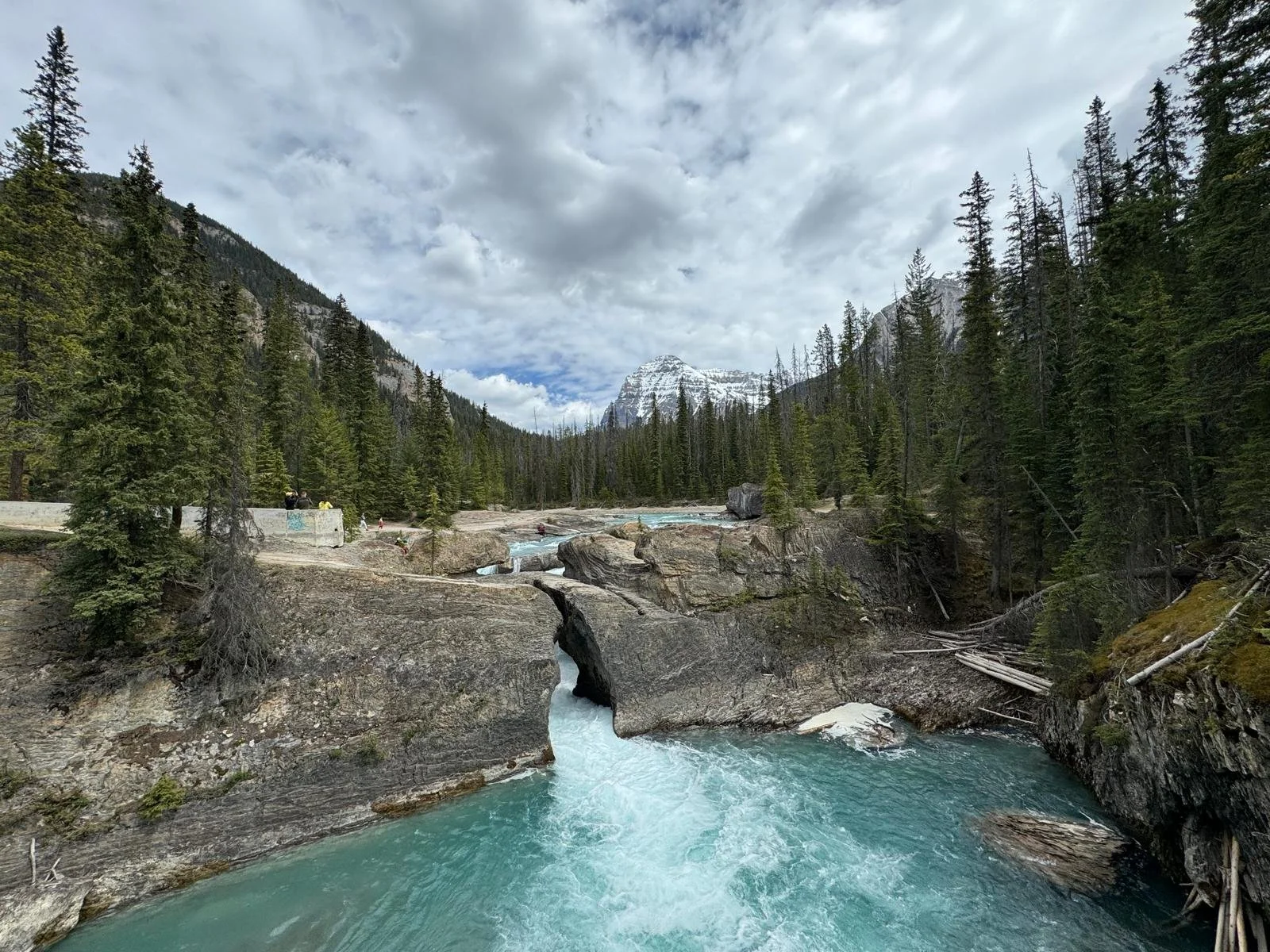 WhatsApp Image 2024-06-08 at 11.29.31 (1).jpeg