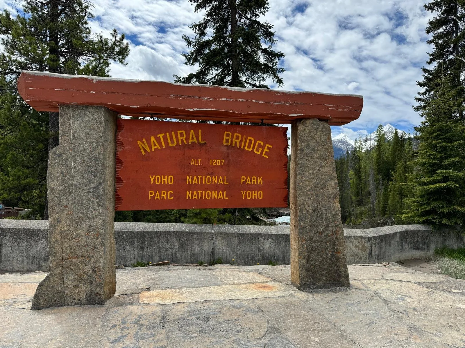 WhatsApp Image 2024-06-08 at 11.29.31.jpeg