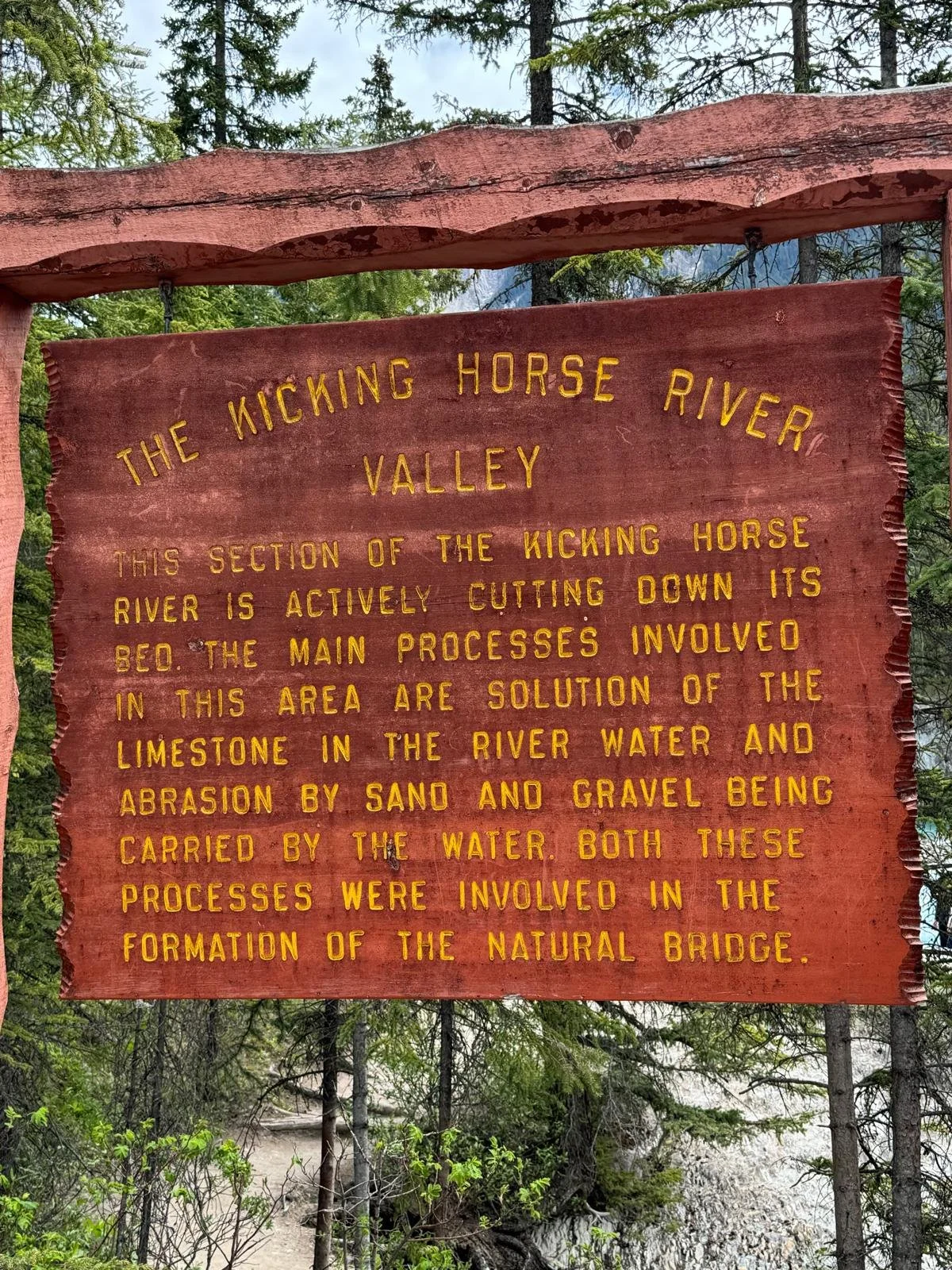 WhatsApp Image 2024-06-08 at 11.29.30 (2).jpeg