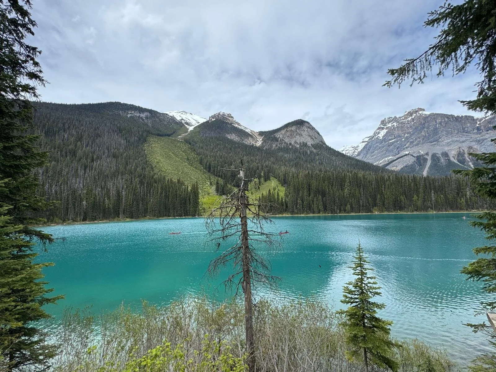 WhatsApp Image 2024-06-08 at 11.30.17.jpeg