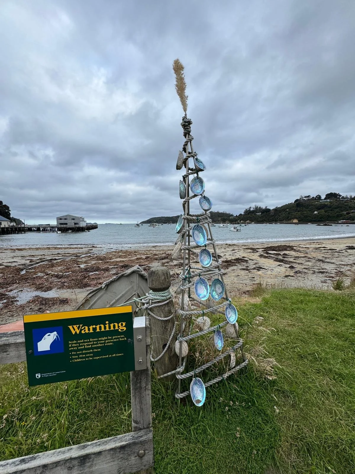 WhatsApp Image 2025-01-16 at 15.06.05 (1).jpeg