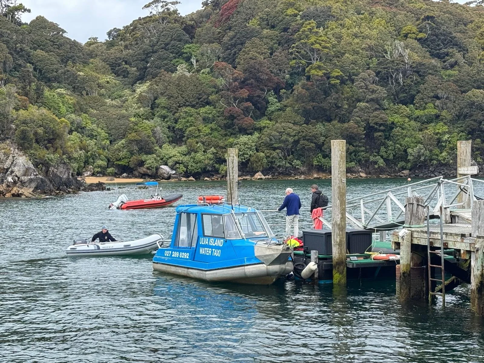 WhatsApp Image 2025-01-16 at 15.06.05.jpeg