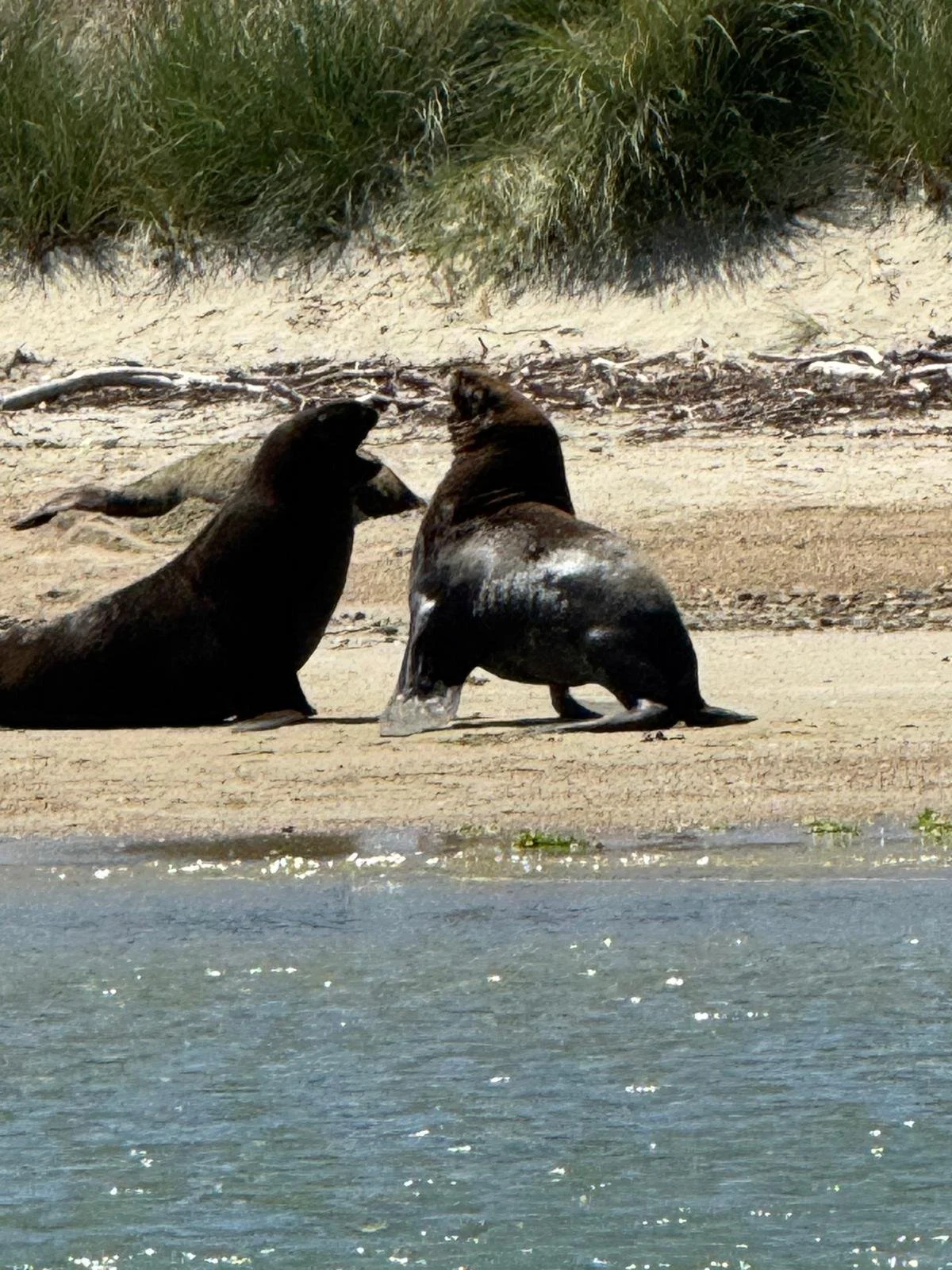 WhatsApp Image 2025-01-16 at 15.10.58.jpeg