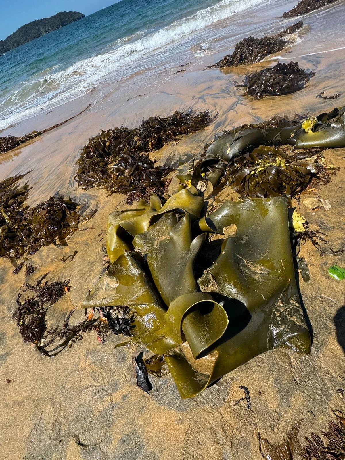 WhatsApp Image 2025-01-16 at 15.11.02 (2).jpeg