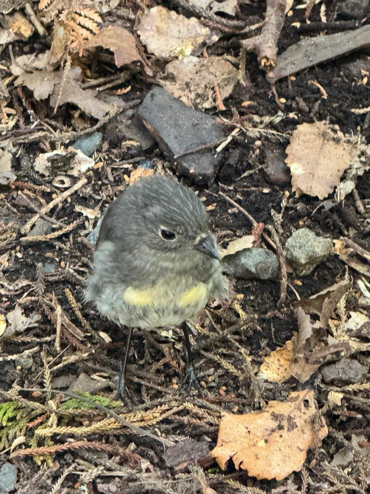 WhatsApp Image 2025-01-16 at 15.11.01.jpeg