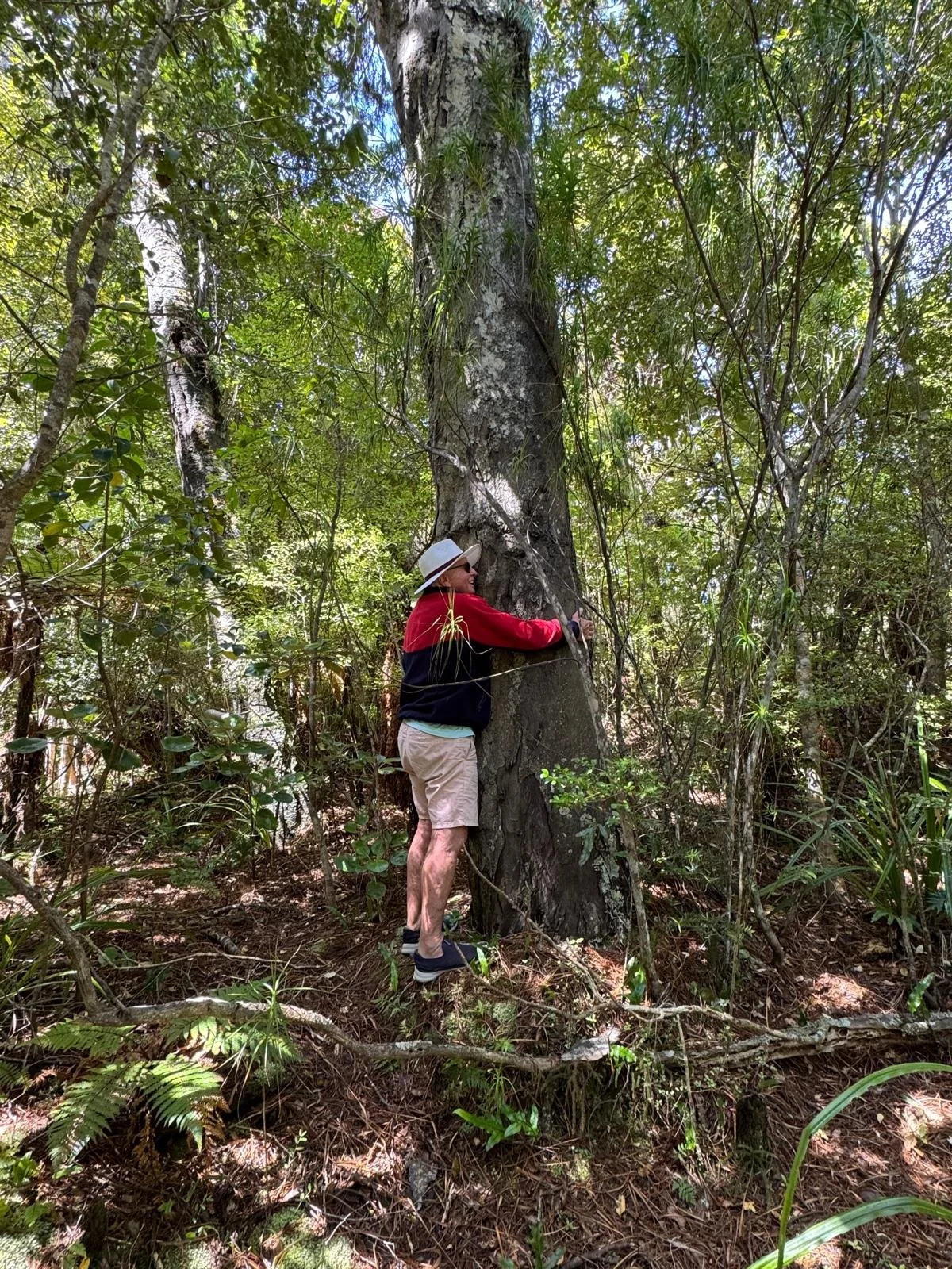 WhatsApp Image 2025-01-16 at 15.11.00 (1).jpeg