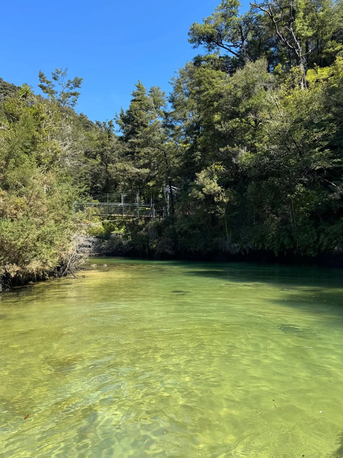 WhatsApp Image 2025-03-08 at 09.22.20.jpeg