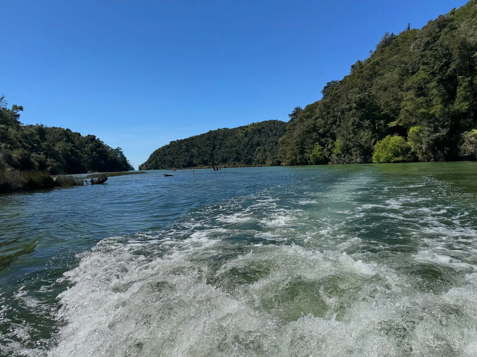 WhatsApp Image 2025-03-08 at 09.22.19 (1).jpeg