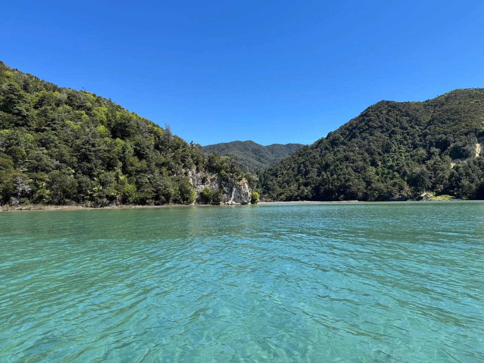 WhatsApp Image 2025-03-08 at 09.22.19.jpeg