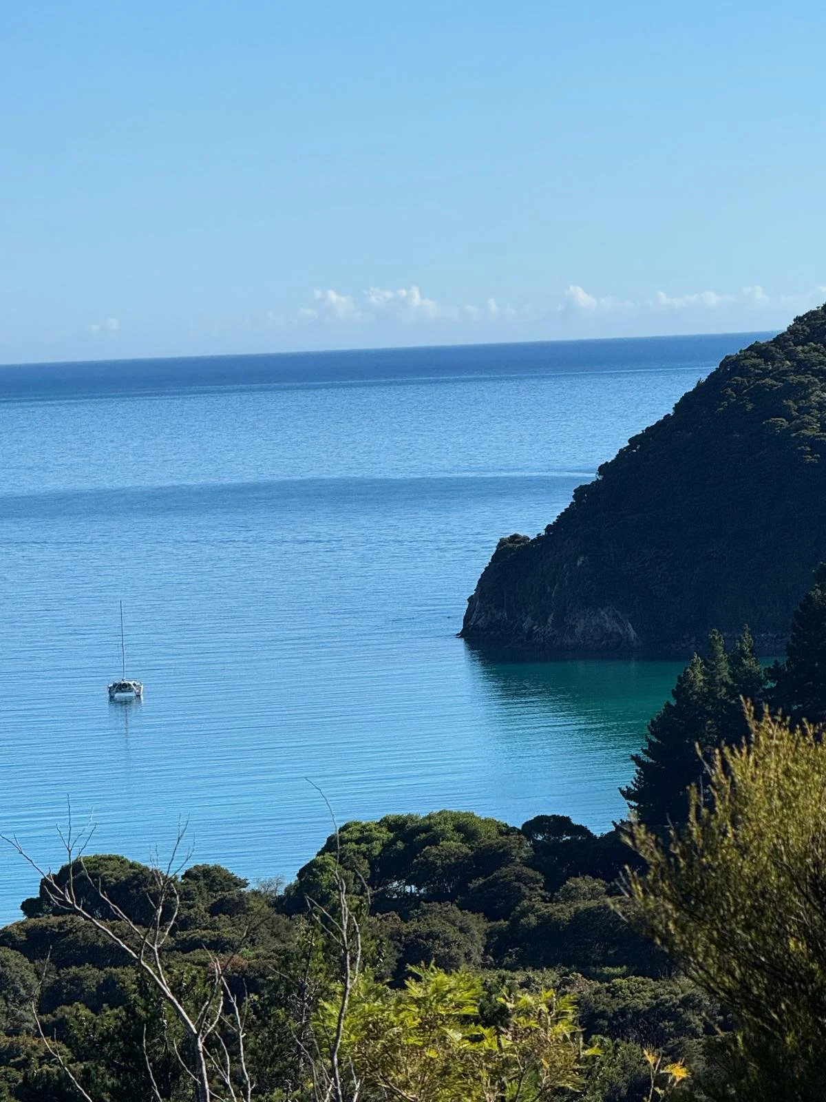 WhatsApp Image 2025-03-08 at 09.27.34.jpeg