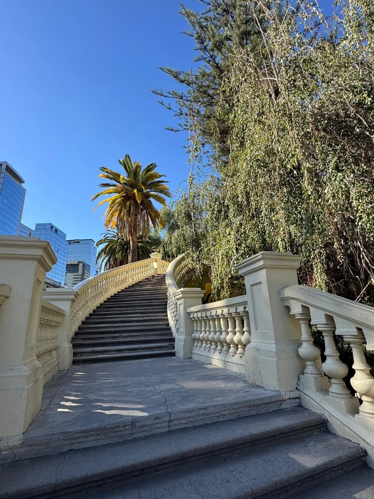 WhatsApp Image 2026-02-19 at 10.13.07.jpeg