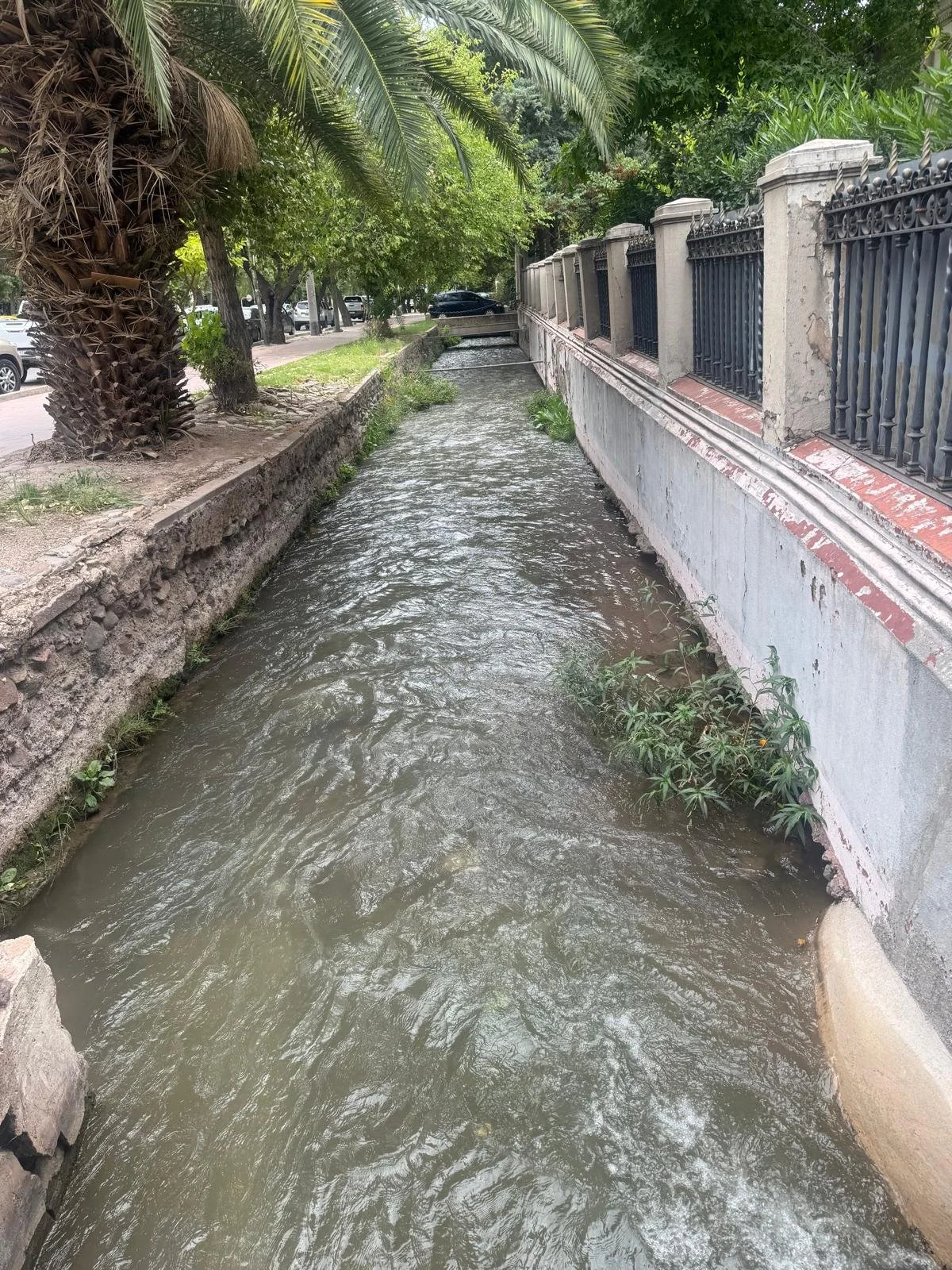 WhatsApp Image 2026-02-21 at 10.46.52.jpeg