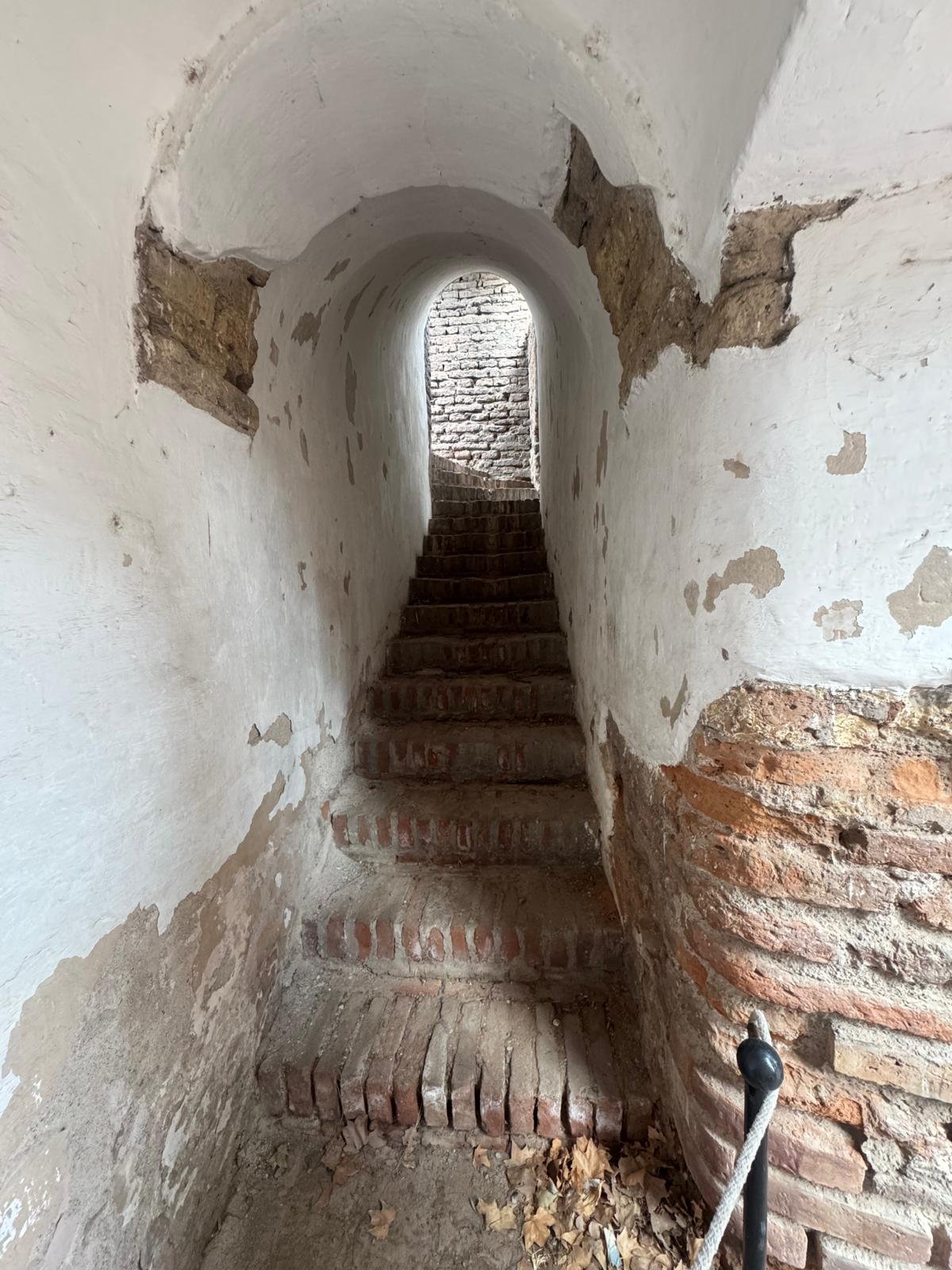 WhatsApp Image 2026-02-21 at 10.49.51.jpeg