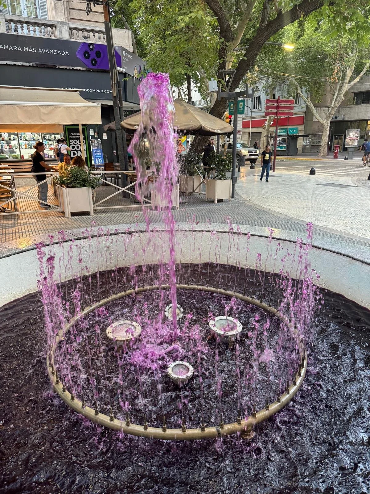 WhatsApp Image 2026-02-21 at 11.00.01 (1).jpeg