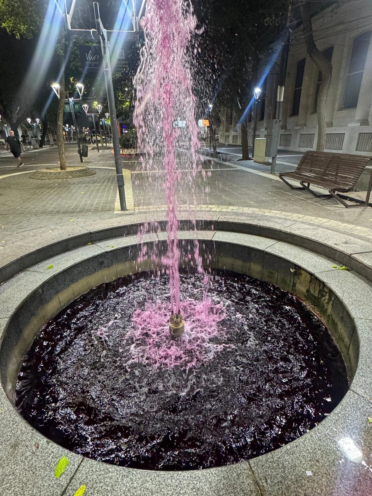 WhatsApp Image 2026-02-21 at 11.00.03.jpeg