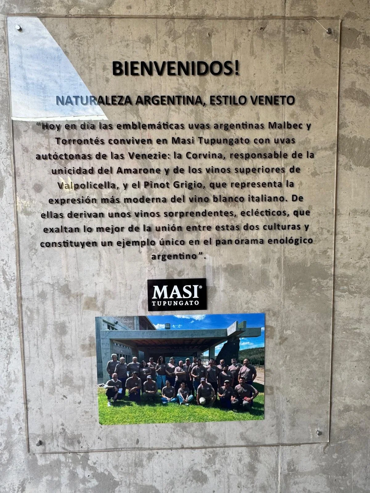 WhatsApp Image 2026-02-21 at 11.03.31.jpeg