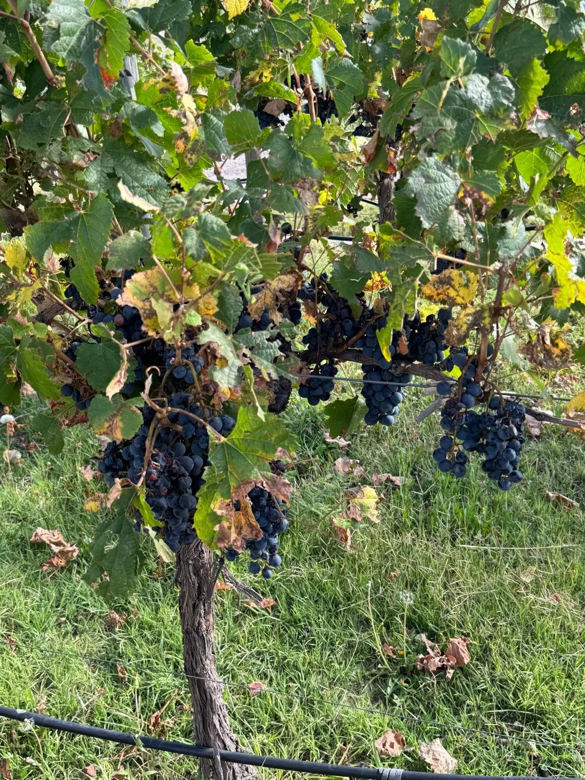 WhatsApp Image 2026-02-21 at 11.03.35 (1).jpeg