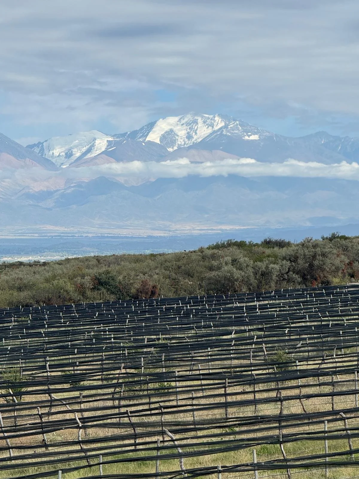 WhatsApp Image 2026-02-21 at 11.03.35.jpeg