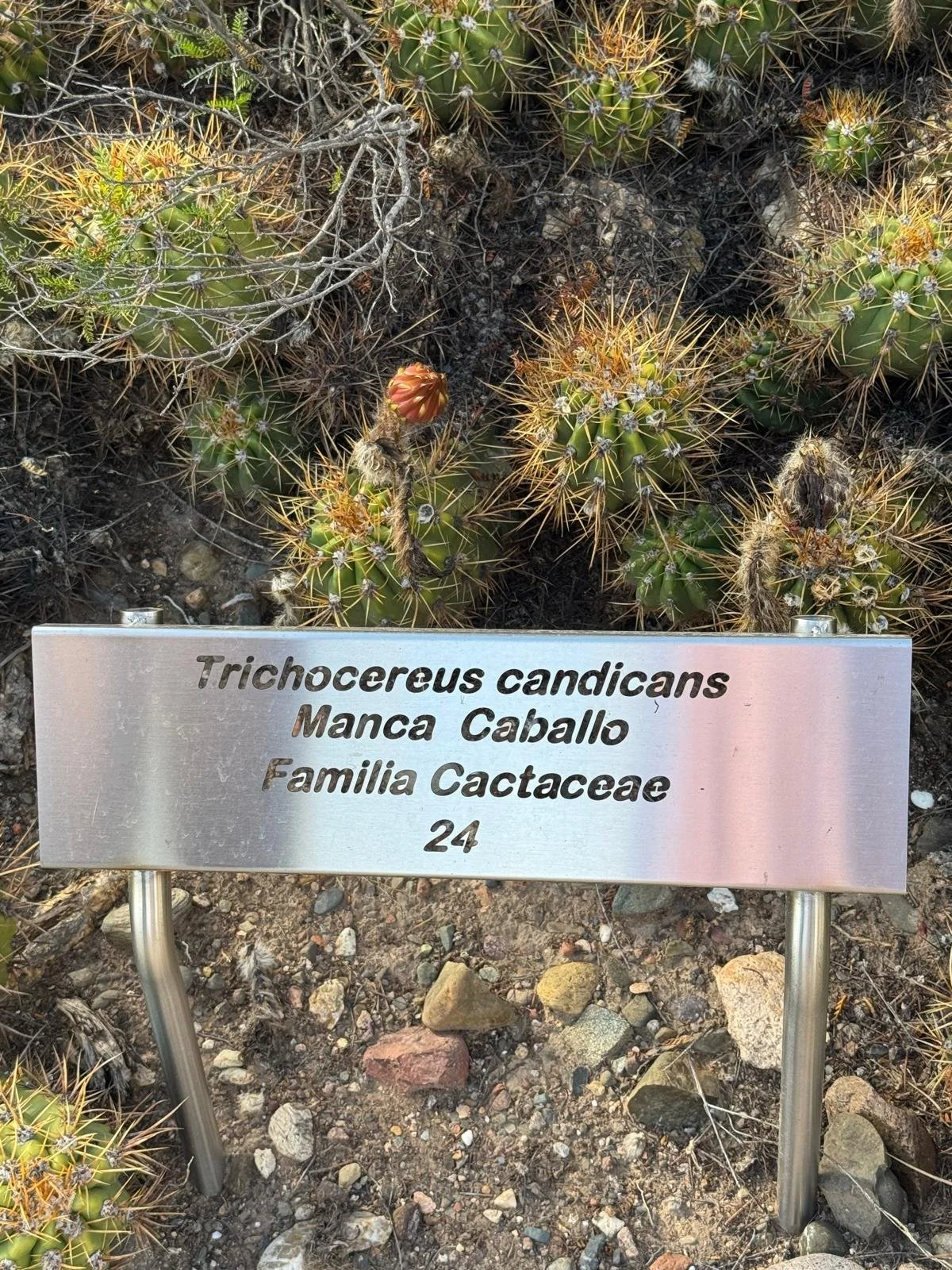 WhatsApp Image 2026-02-21 at 11.03.34.jpeg