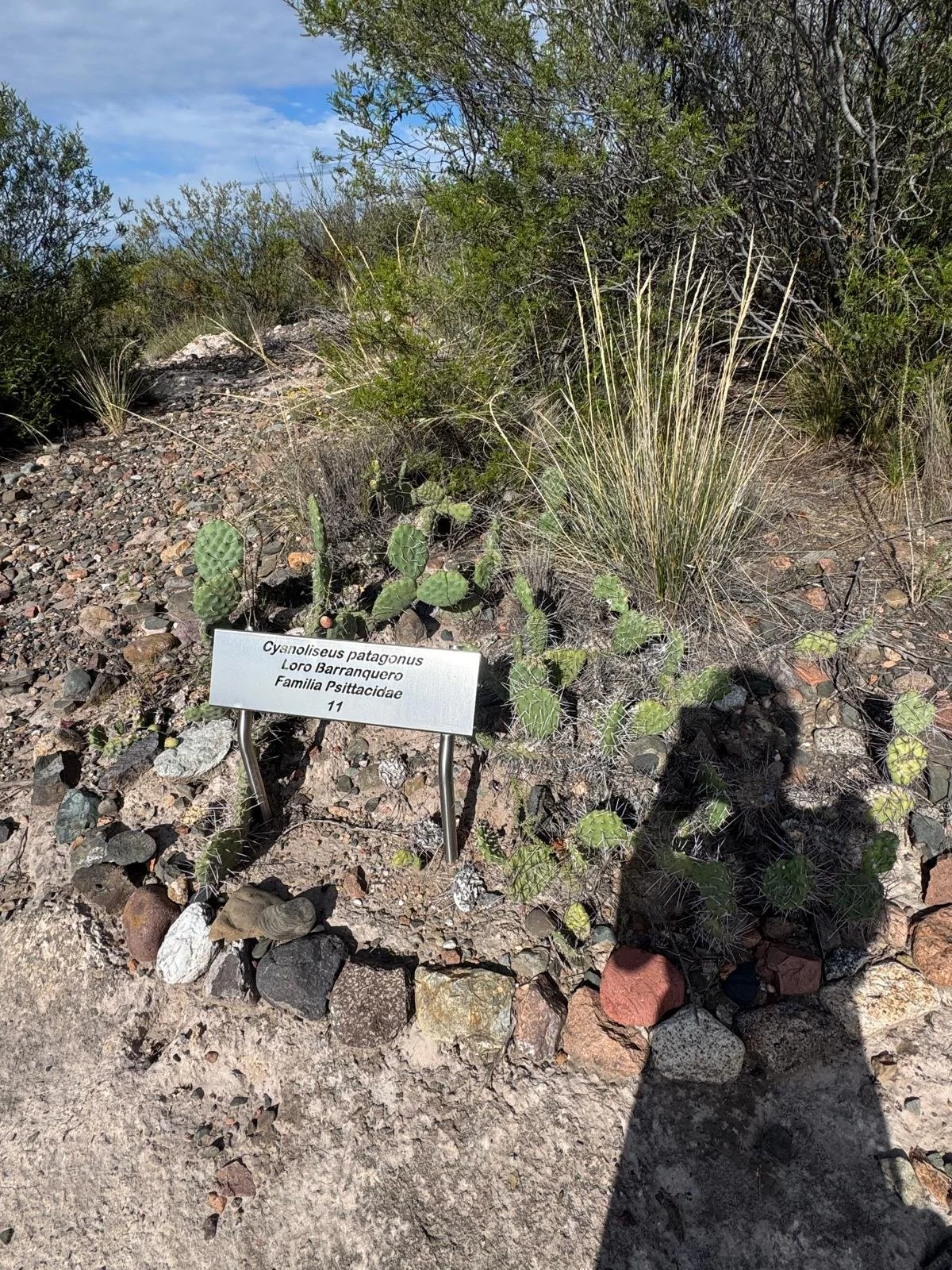 WhatsApp Image 2026-02-21 at 11.03.32.jpeg