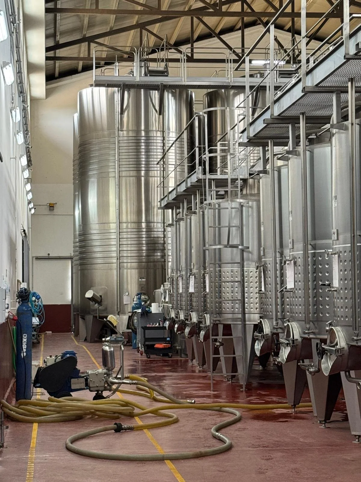 WhatsApp Image 2026-02-21 at 11.04.55.jpeg