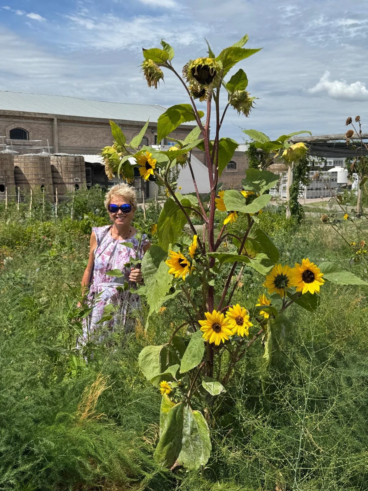 WhatsApp Image 2026-02-21 at 11.06.14.jpeg