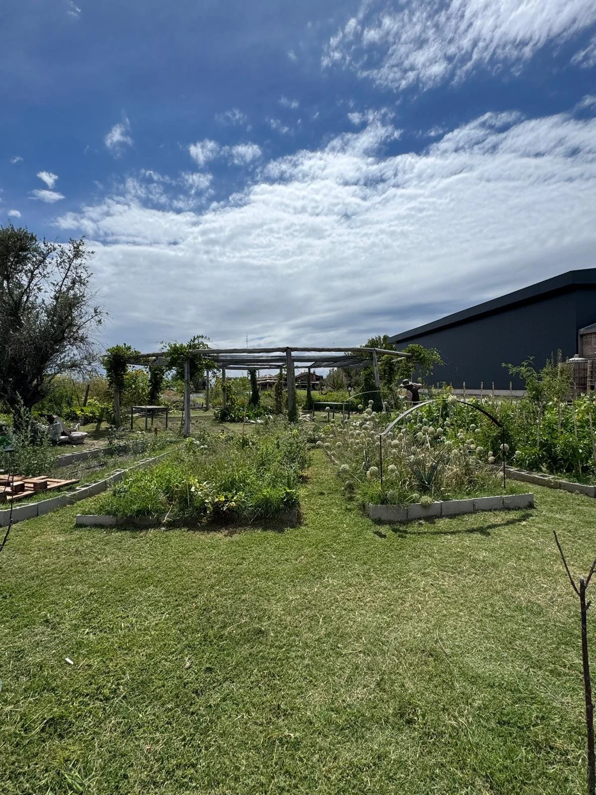 WhatsApp Image 2026-02-21 at 11.06.15.jpeg