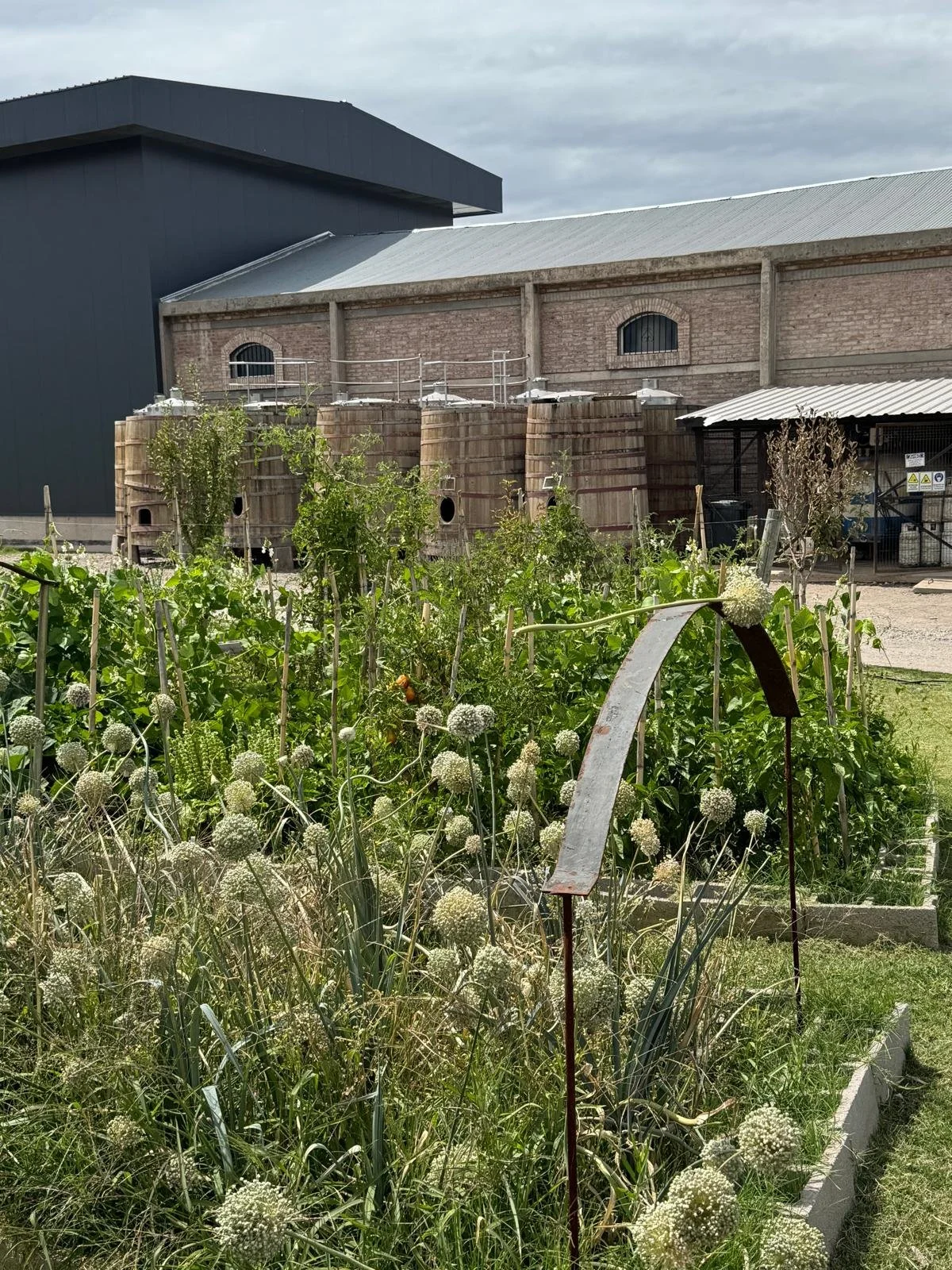 WhatsApp Image 2026-02-21 at 11.06.16 (1).jpeg