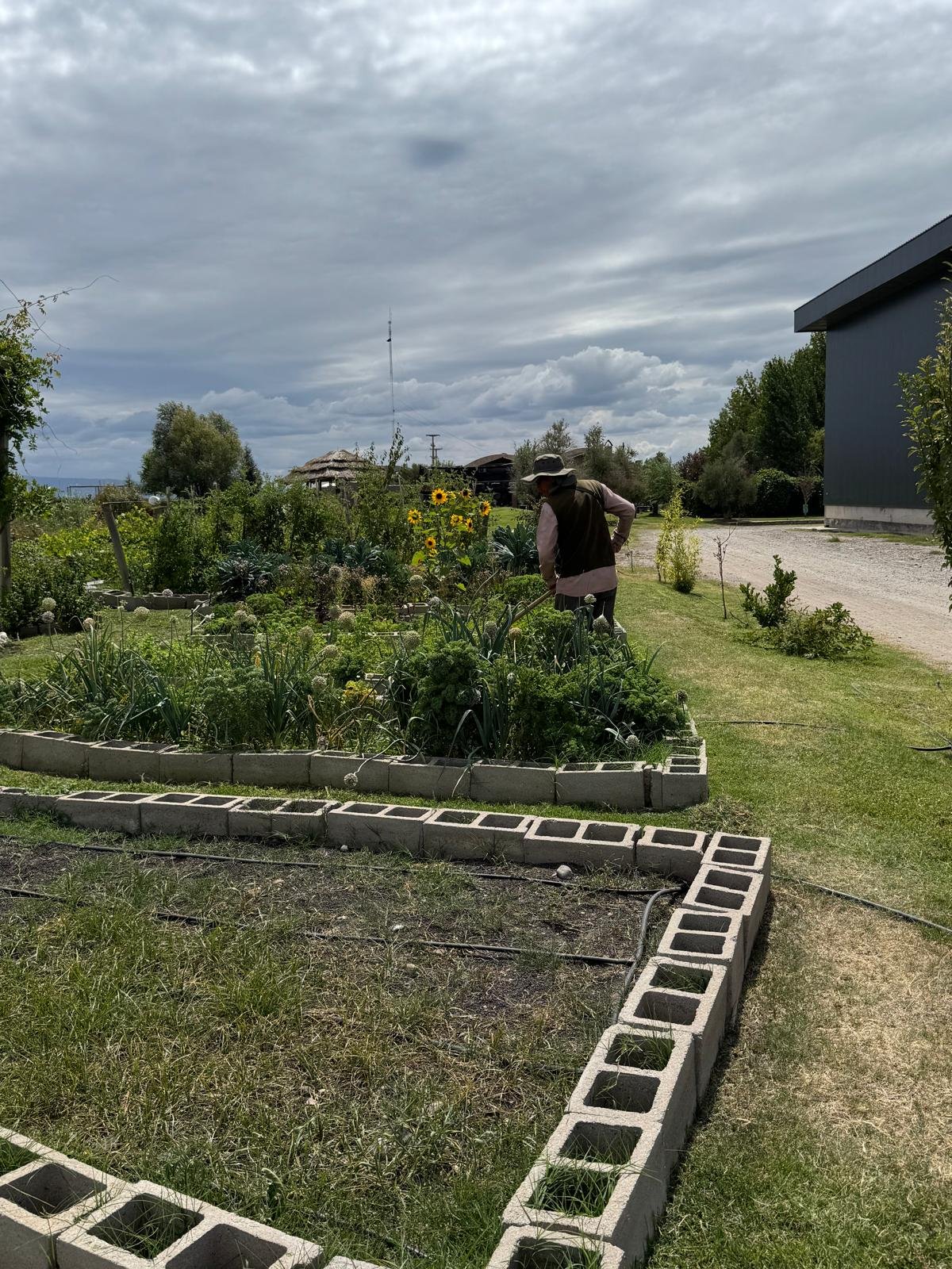 WhatsApp Image 2026-02-21 at 11.06.17.jpeg