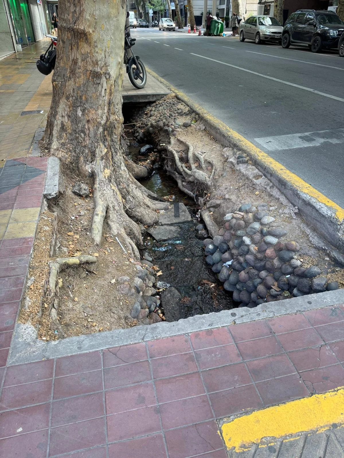 WhatsApp Image 2026-02-21 at 11.07.50.jpeg