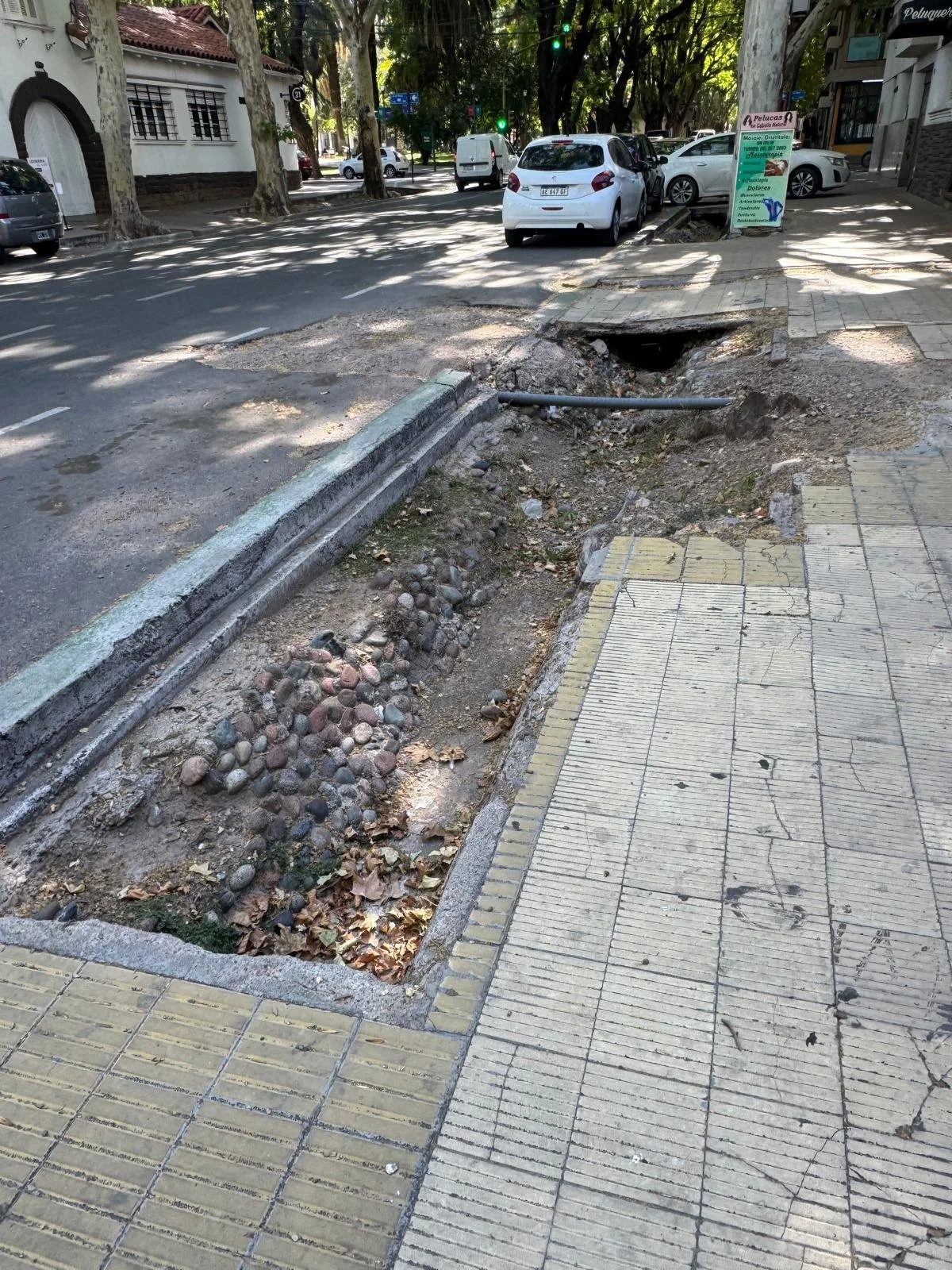 WhatsApp Image 2026-02-21 at 11.07.52.jpeg