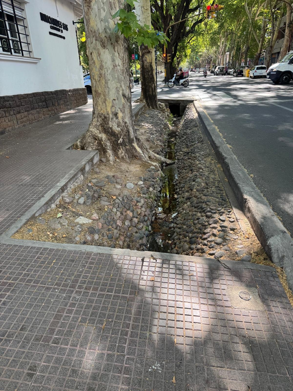 WhatsApp Image 2026-02-21 at 11.07.53.jpeg