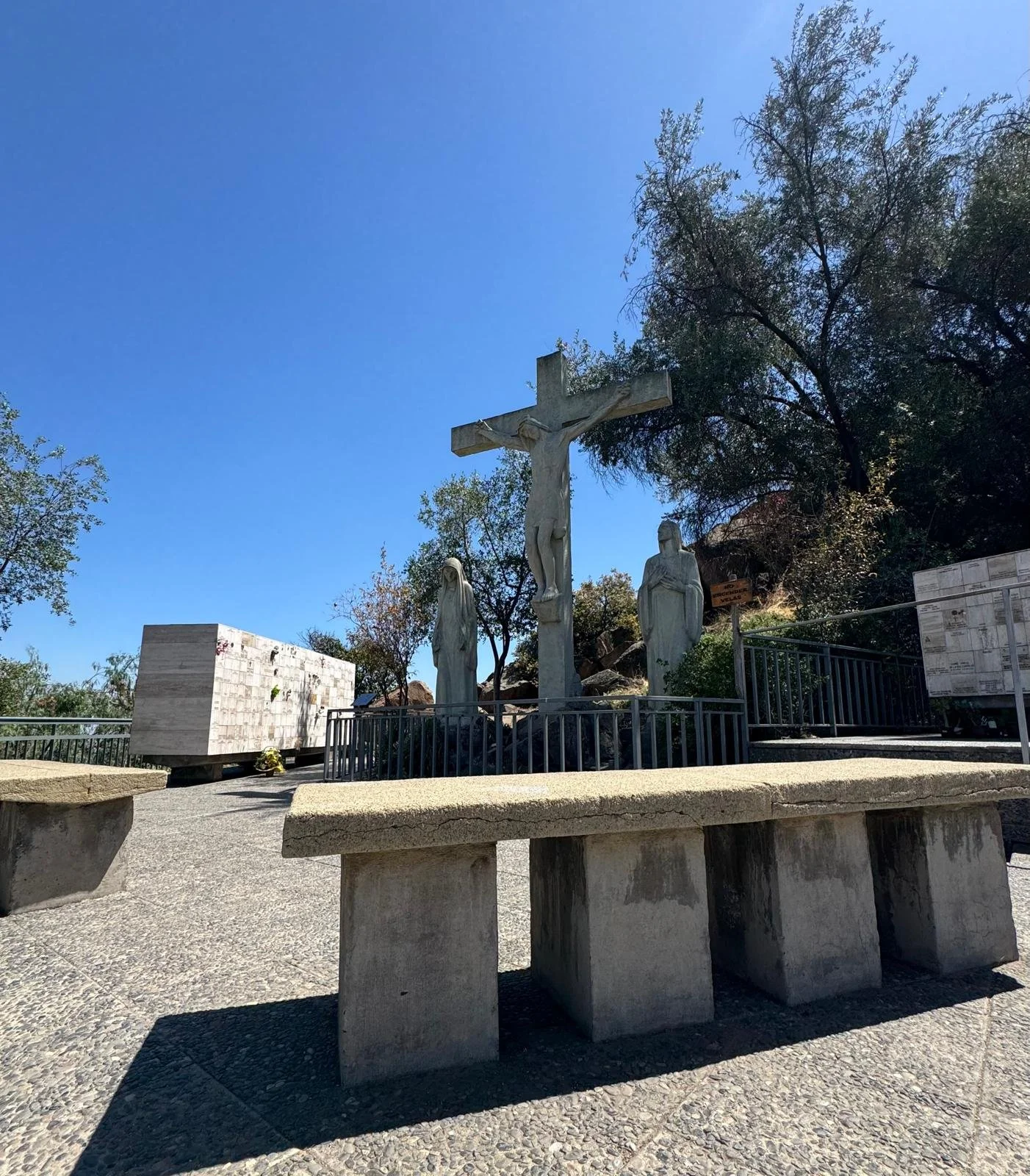 WhatsApp Image 2026-02-24 at 09.08.41.jpeg