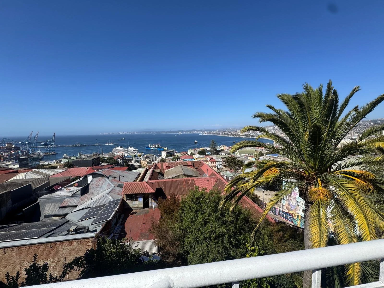 WhatsApp Image 2026-02-25 at 08.34.07.jpeg