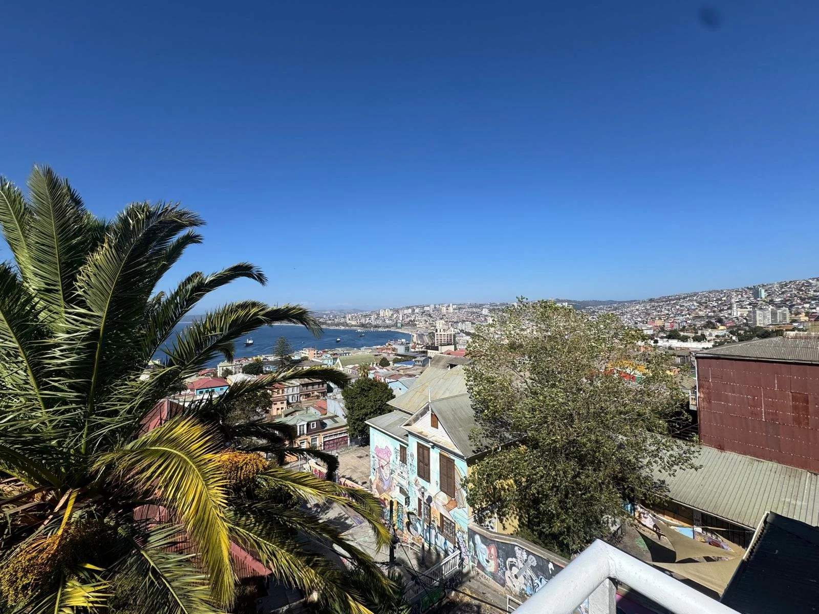 WhatsApp Image 2026-02-25 at 08.34.08.jpeg