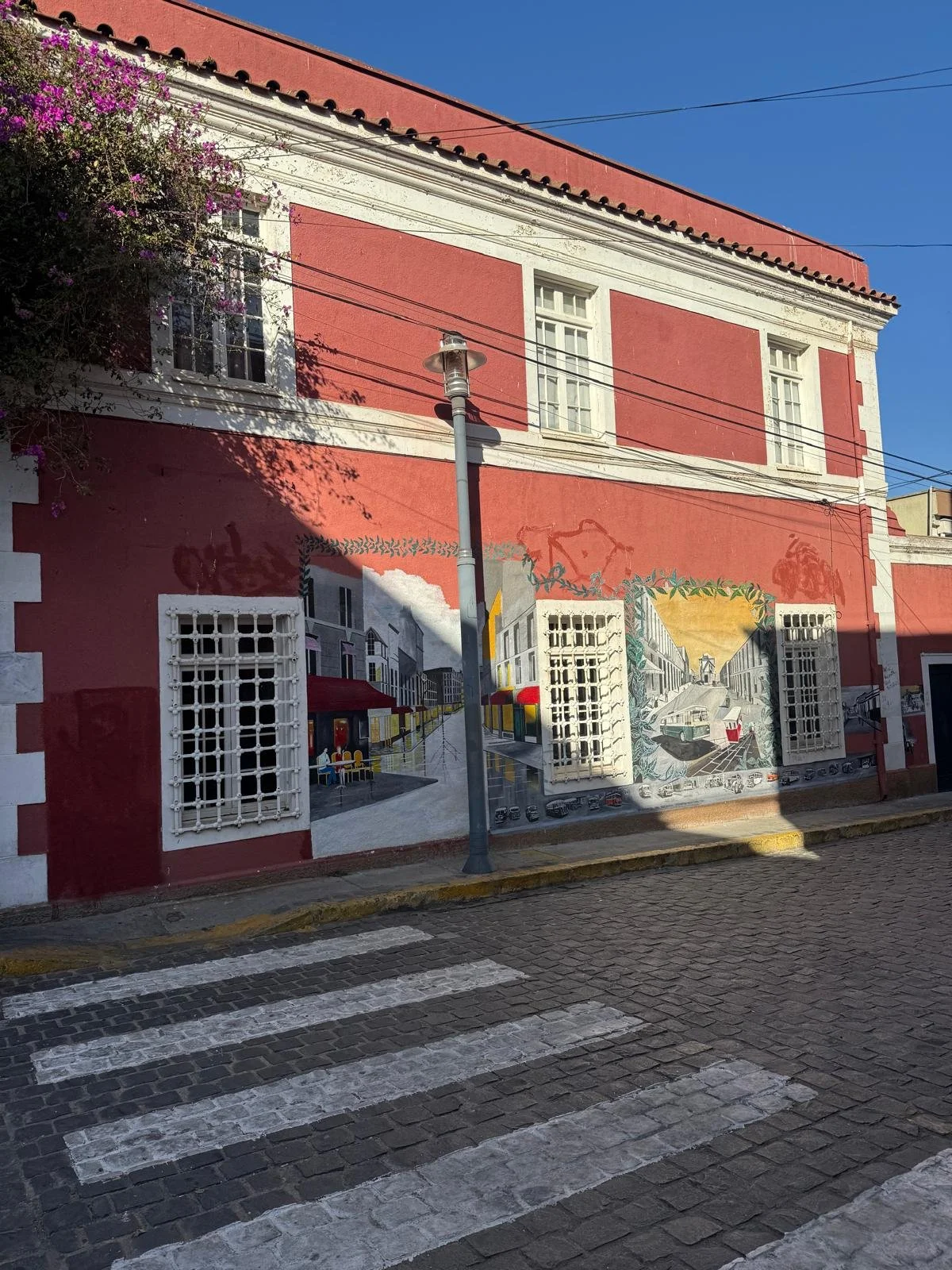 WhatsApp Image 2026-02-25 at 08.36.01 (2).jpeg