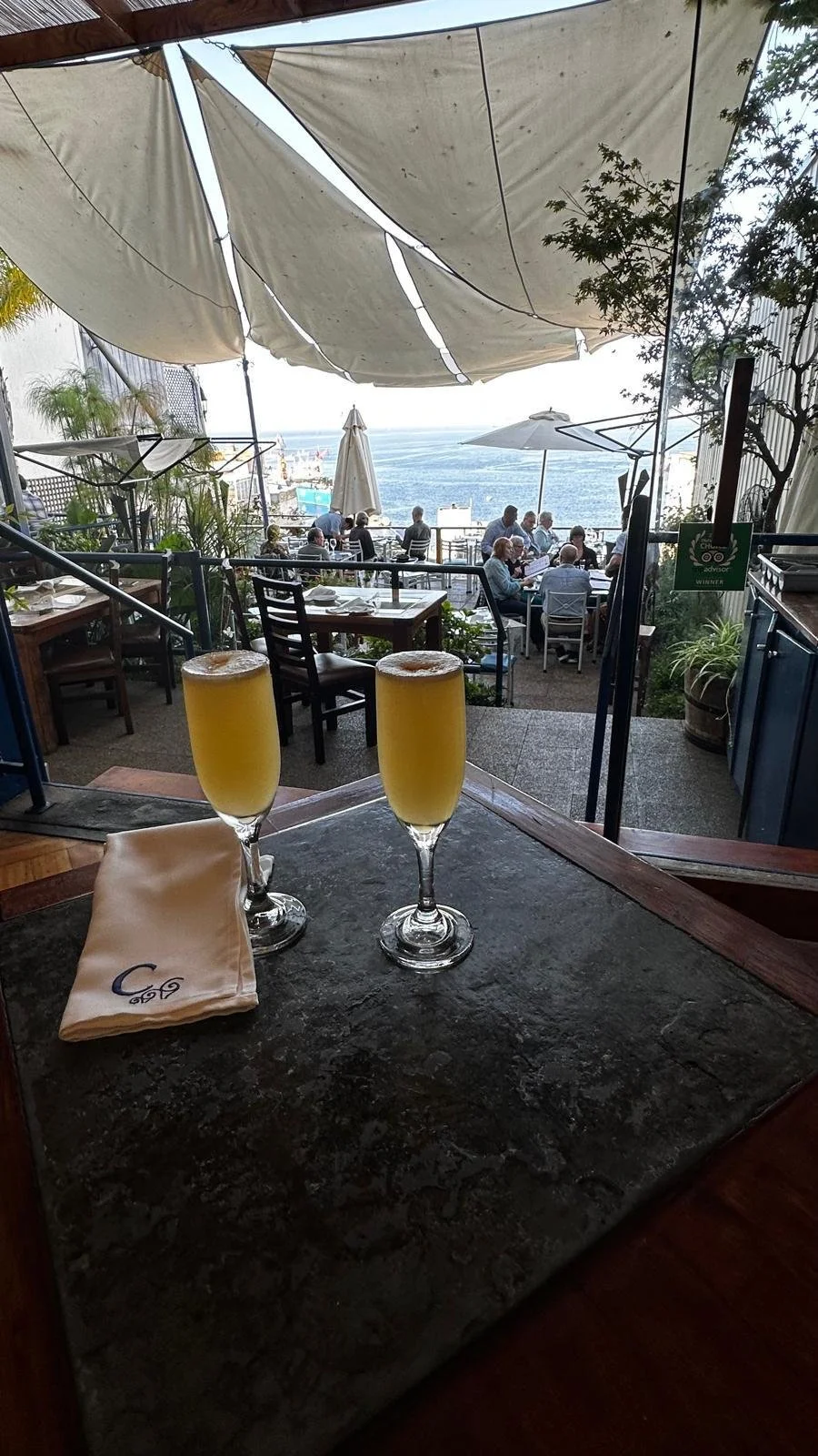 WhatsApp Image 2026-02-25 at 08.36.03.jpeg