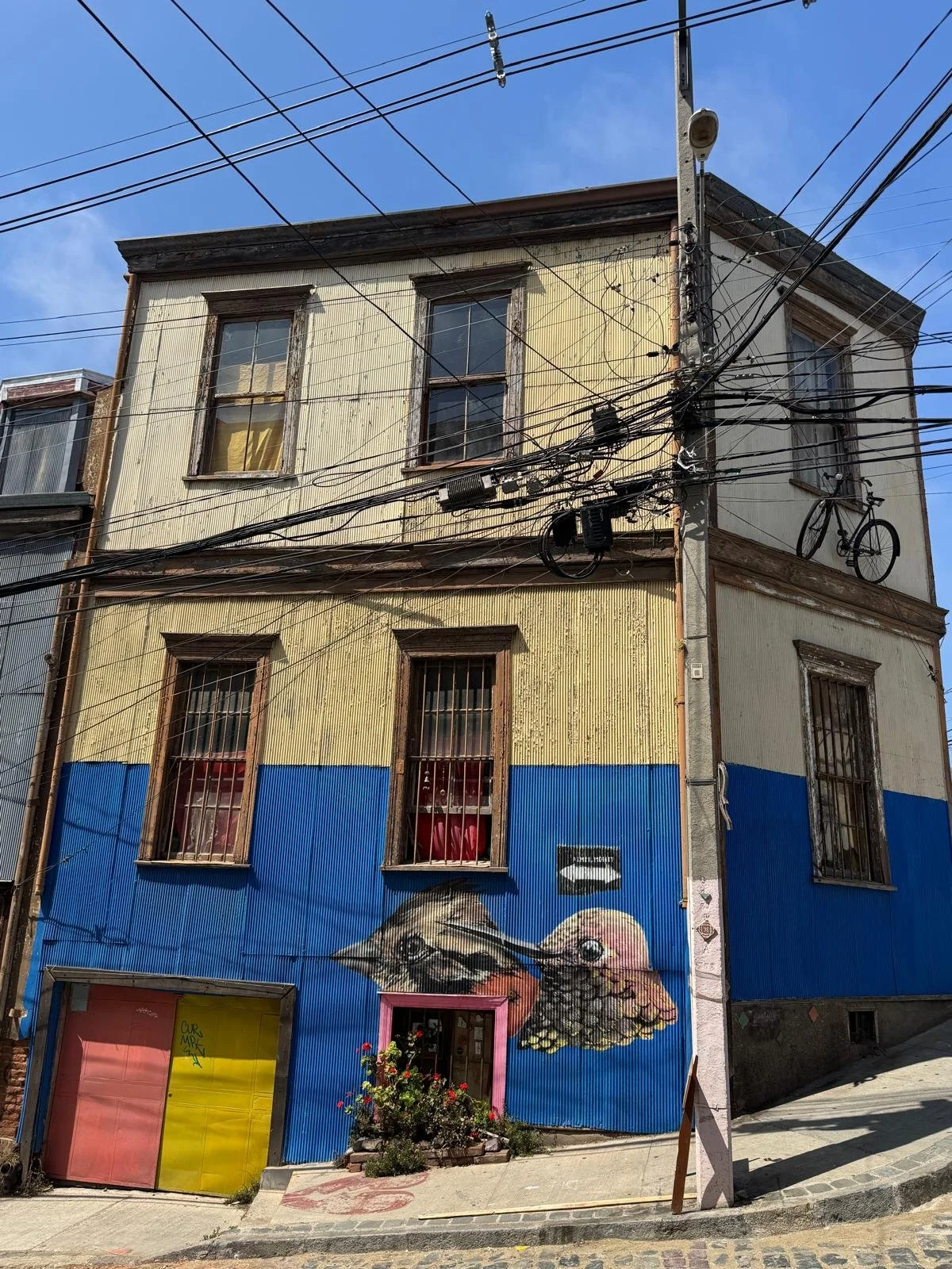 WhatsApp Image 2026-02-25 at 08.36.04 (2).jpeg