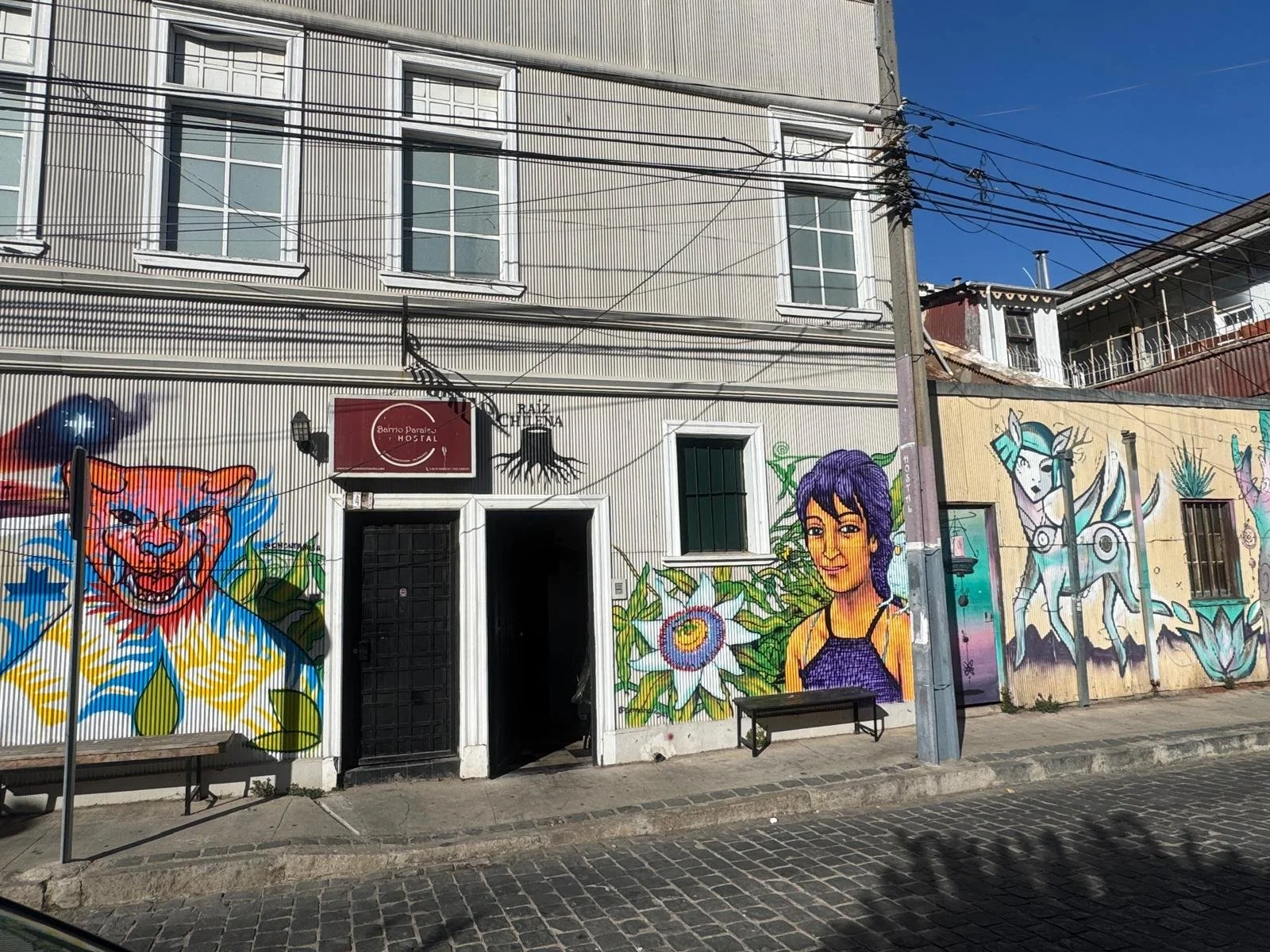 WhatsApp Image 2026-02-25 at 08.41.09 (1).jpeg