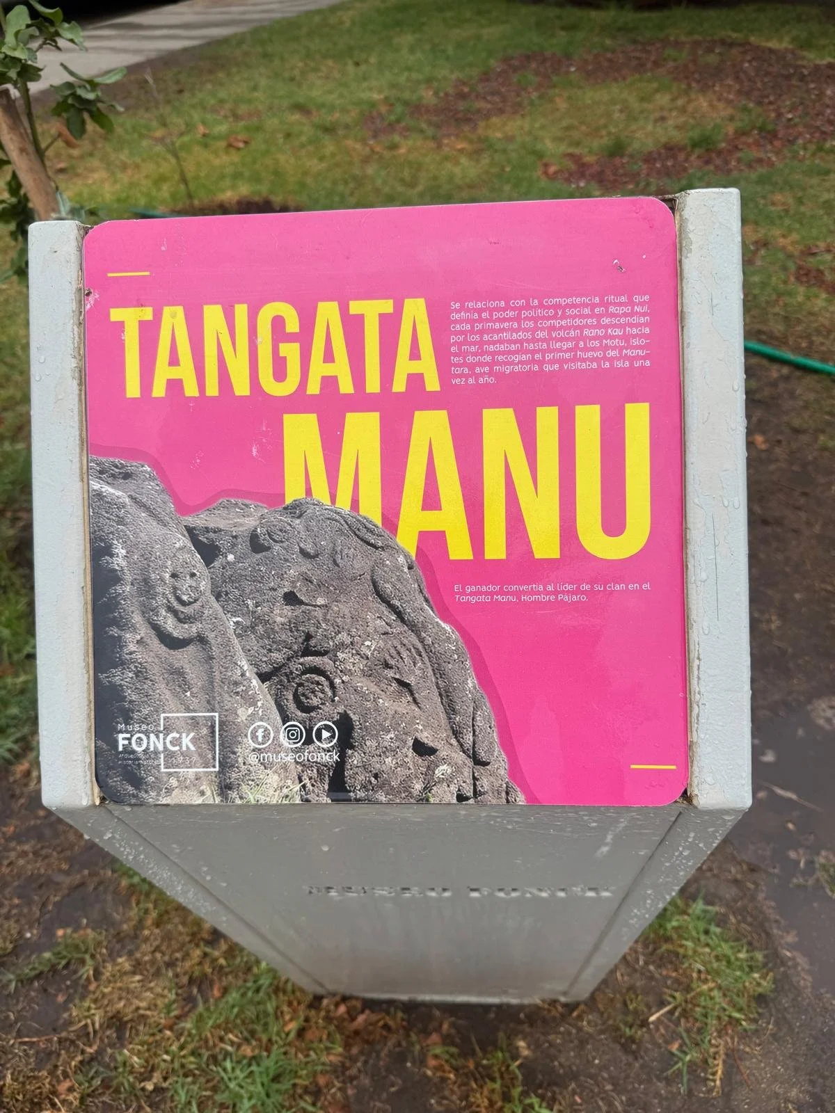 WhatsApp Image 2026-02-25 at 08.43.36.jpeg