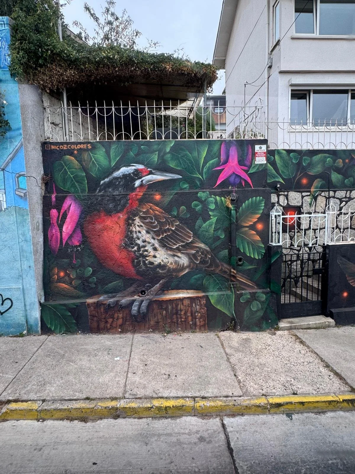 WhatsApp Image 2026-02-25 at 08.44.50.jpeg