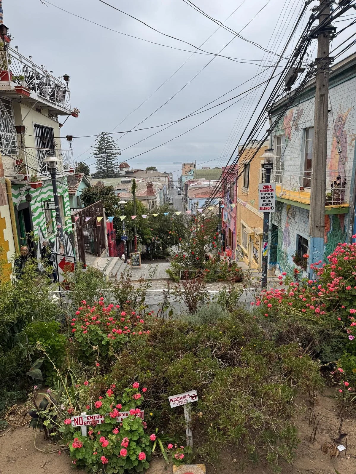 WhatsApp Image 2026-02-25 at 08.44.52 (1).jpeg