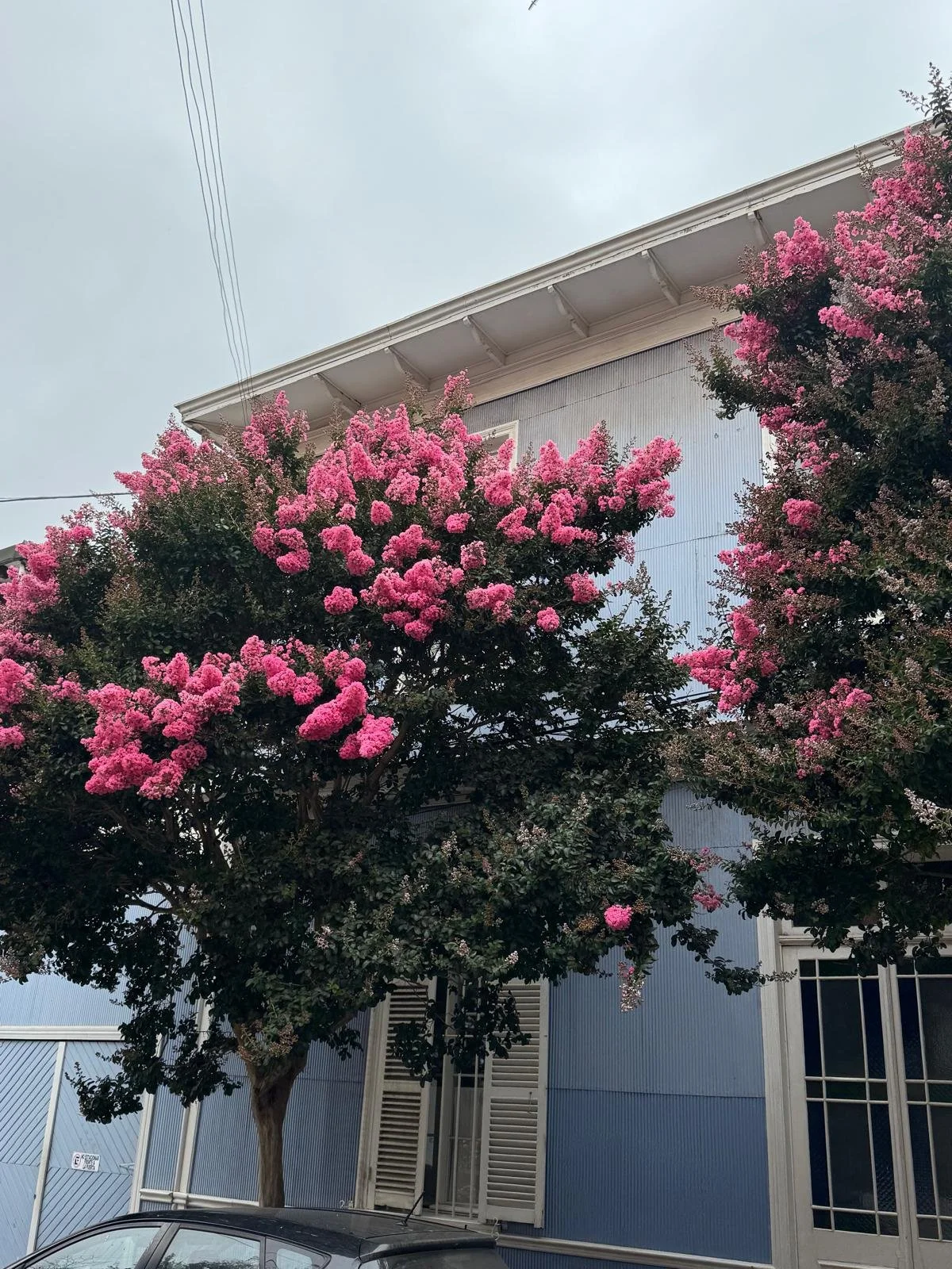 WhatsApp Image 2026-02-25 at 08.44.52 (2).jpeg