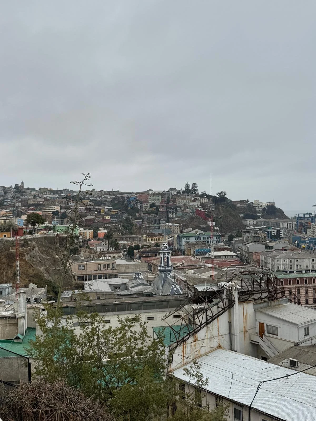 WhatsApp Image 2026-02-25 at 08.44.53.jpeg