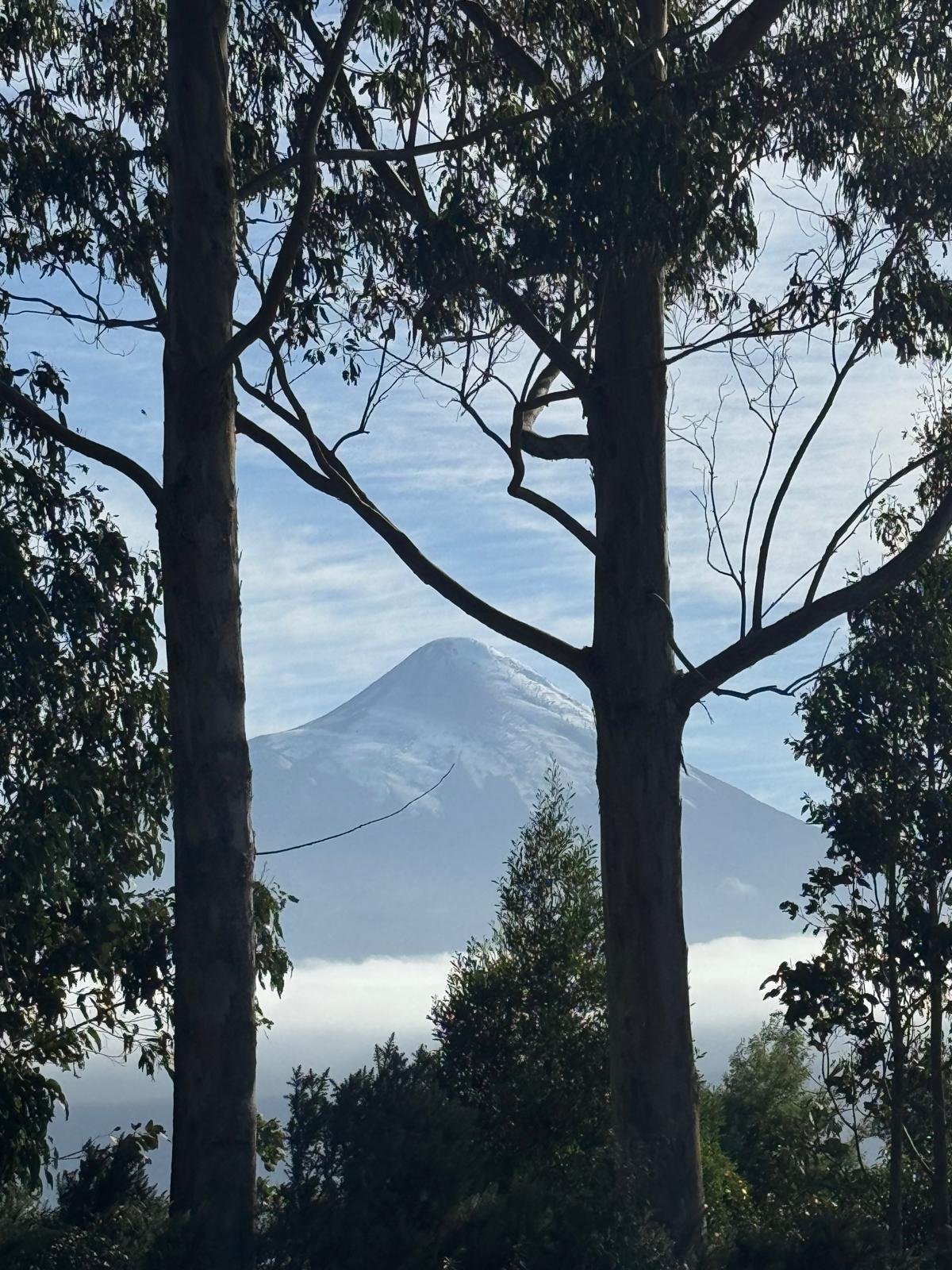 WhatsApp Image 2026-02-27 at 08.17.41 (1).jpeg